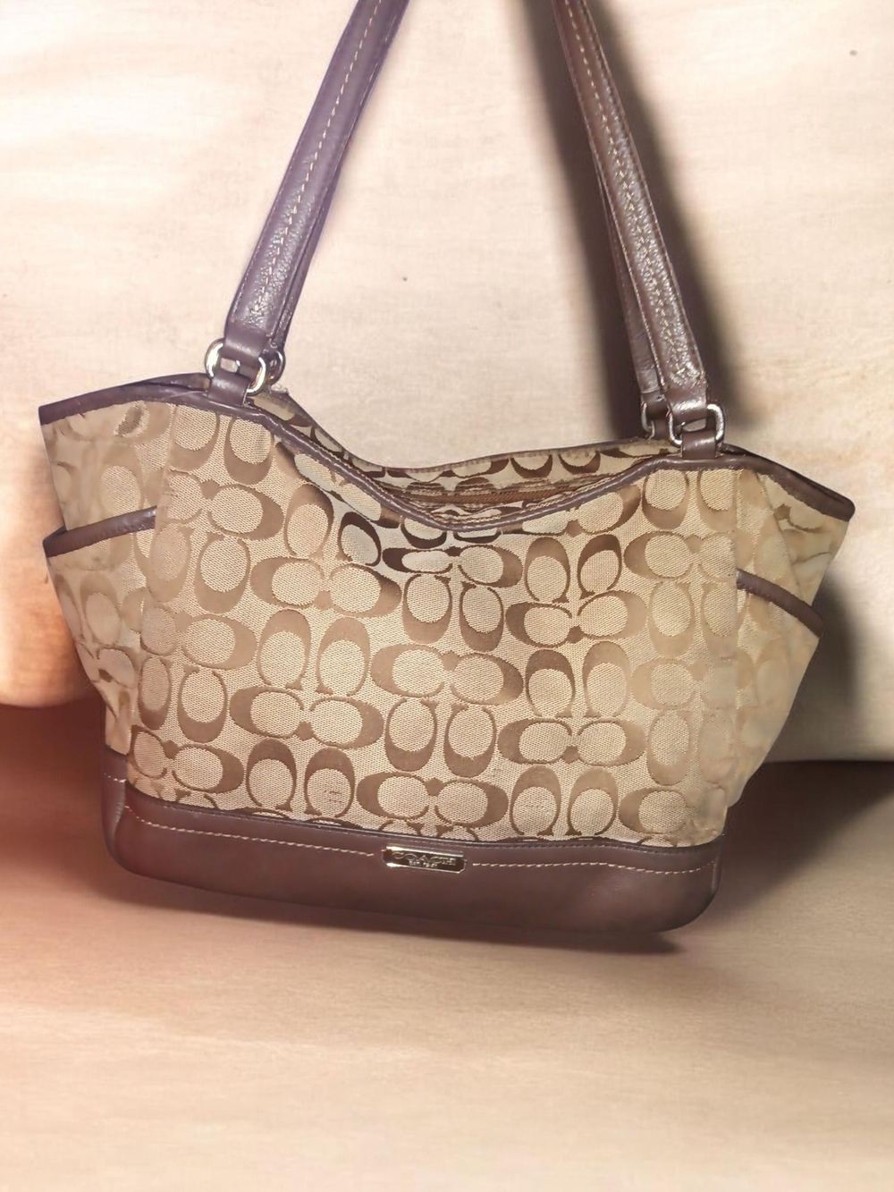 Coach Park Signature Carrie Tote Bag with Brown Trim